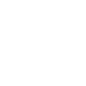 Branding & Visual Identity Services