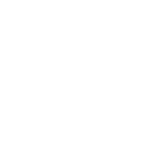 Crowd Management, Safety & Security