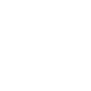VIP Services