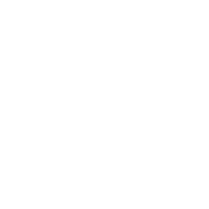 International Flight Services