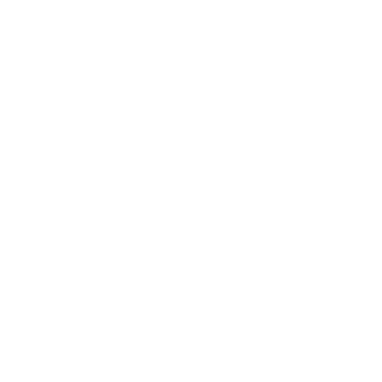 Project Supervision & Execution Oversight