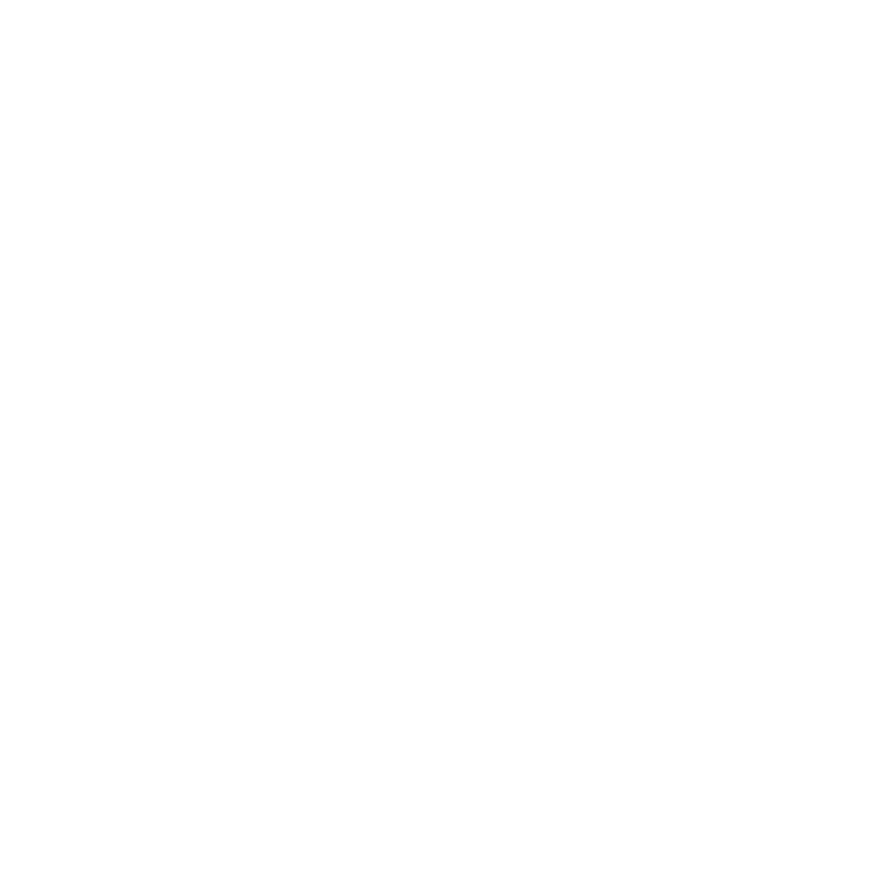 VIP Guest Experience & Full VIP Journey Management