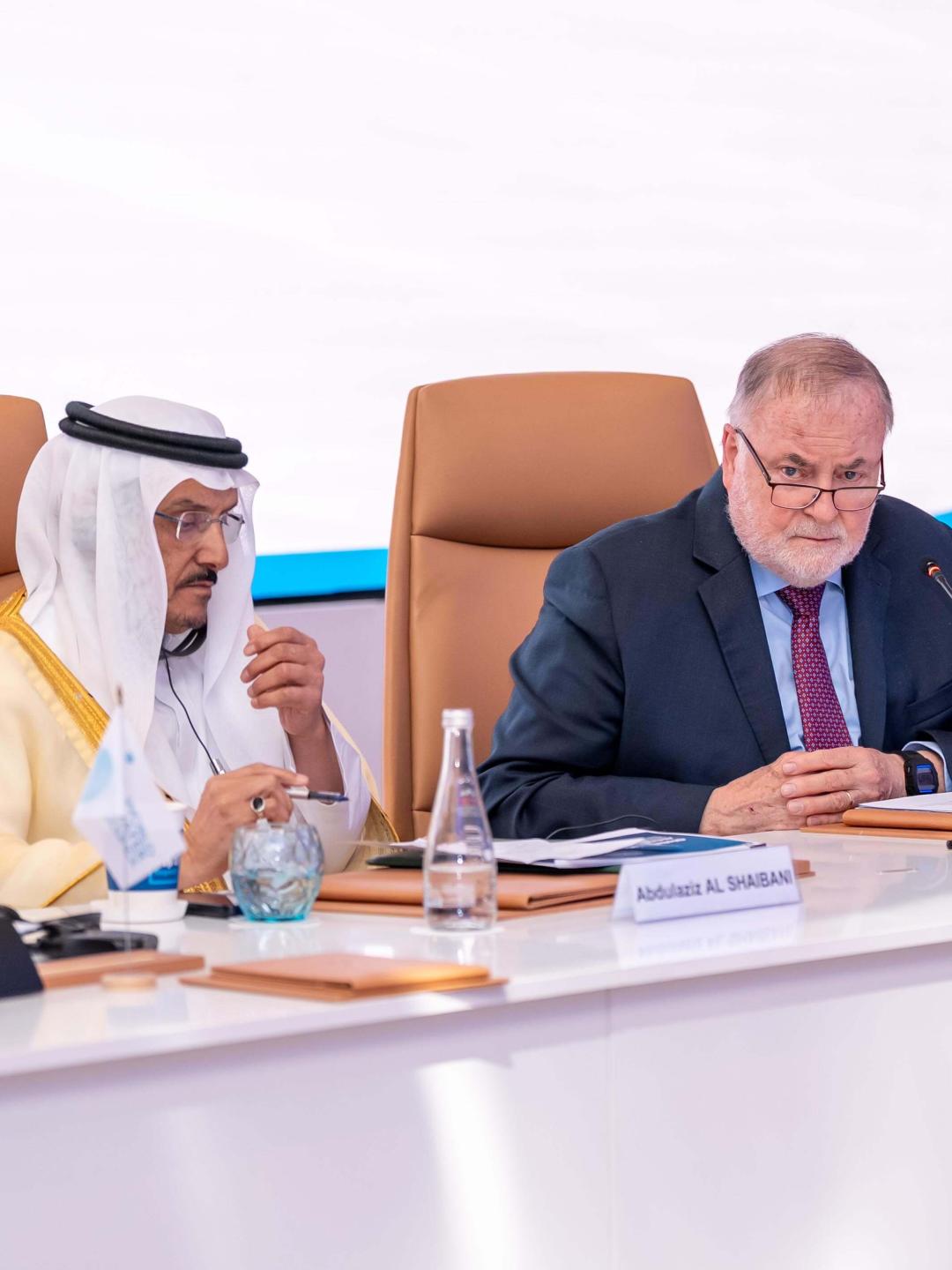 Launch Services for the 11th Edition of the World Water Forum