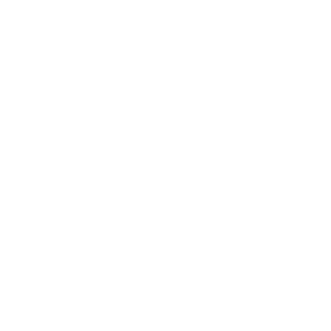 Saudi Arabia Vision 2030