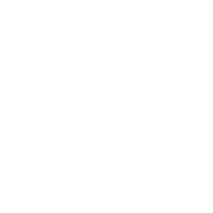 Presidency of State Security
