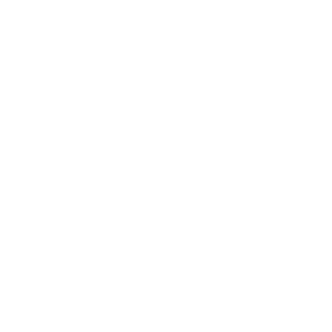 Ministry of Transport and Logistic Services