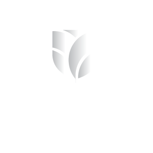 Golf Saudi