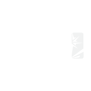 Council of Universities Affairs