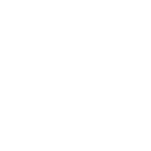 Saudi Arabia Royal Protocol
