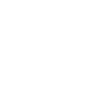 Prince Sattam Bin Abdulaziz University